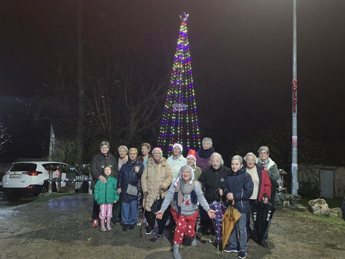 somoscomarca_cobas_navidad2025_decoracion_luces686