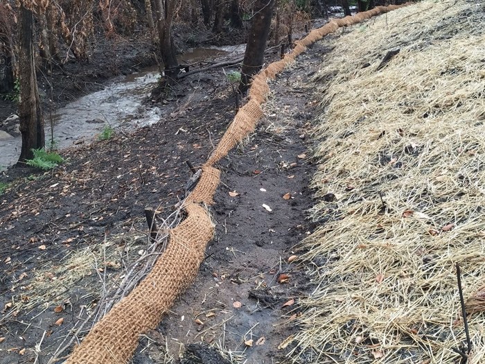 somoscomarca_20251211_chms_incendios2247