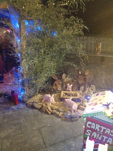 somoscomarca_20251211_arcos_sanxunsto_iluminacion2257