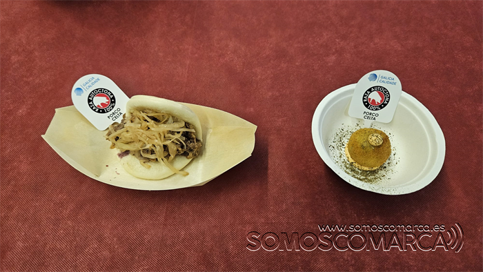 somoscomarca_20251212_obarco_plaza_degustacionporcocelta (5)