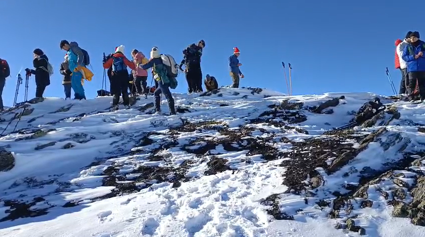 Captura de pantalla 2025-12-13 173118