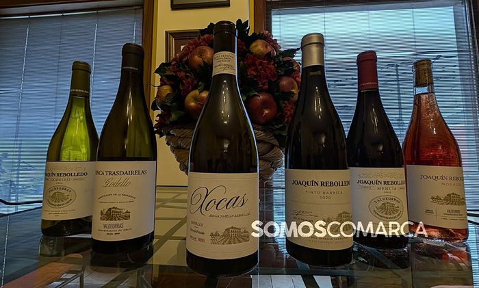 somoscomarca_arua_rebolledo_navidad_catalinamaroto899