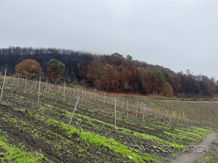 somoscomarca_20251217_arua_do_convenio_firewine2296