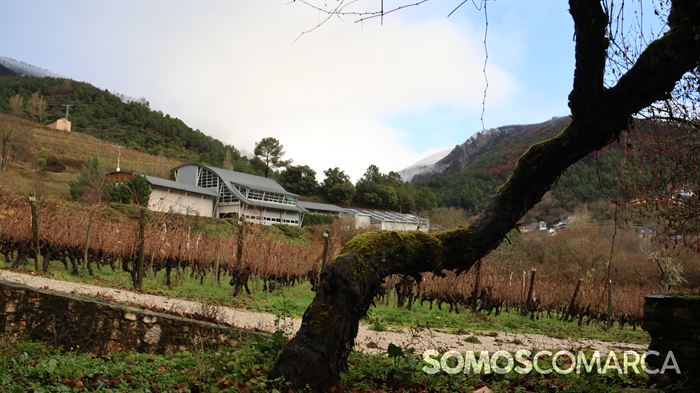 somoscomarca_obarco_godeval_aracelifernandezdelpalacio1010