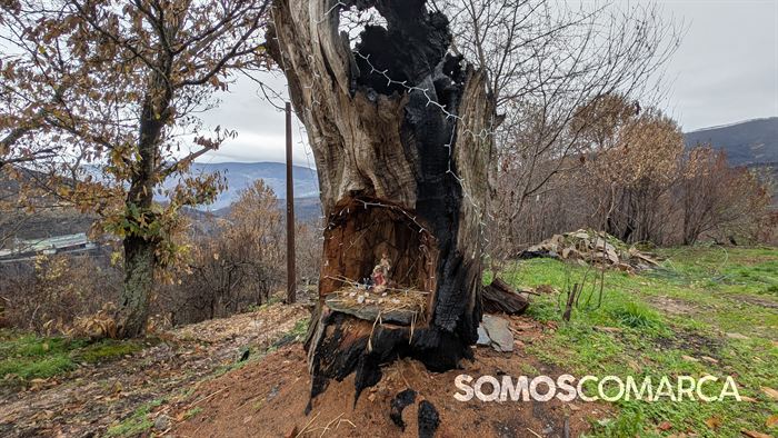 somoscomarca_sanvicente_navidad1055