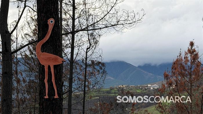 somoscomarca_camiñodeinverno_montefurado_alvaredos_aspedreiras1546