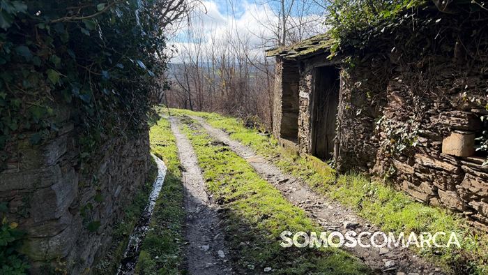 somoscomaca_petin_mones_pamoramicas 2017