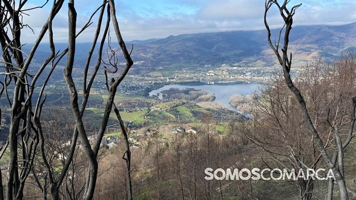 somoscomaca_petin_mones_pamoramicas 2021