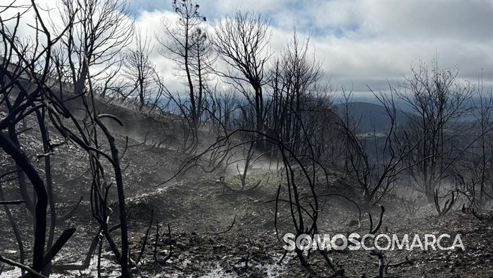 somoscomaca_petin_mones_pamoramicas 2020