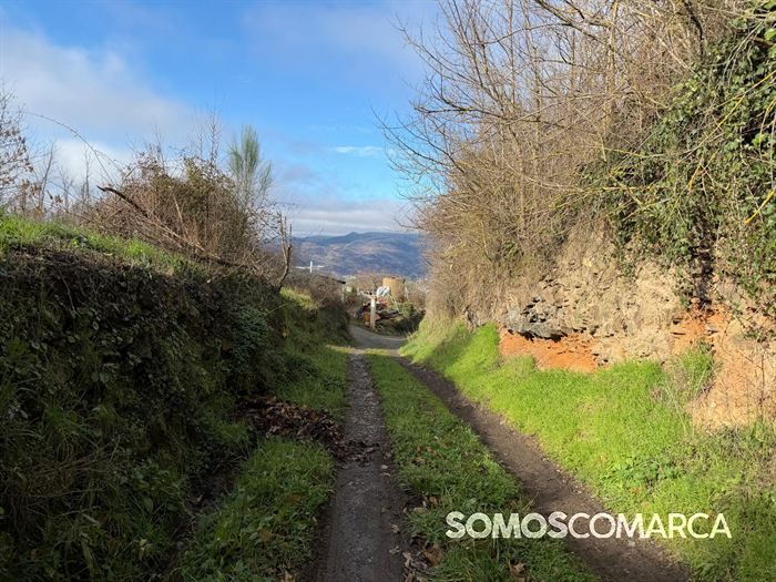 somoscomaca_petin_mones_pamoramicas 2022