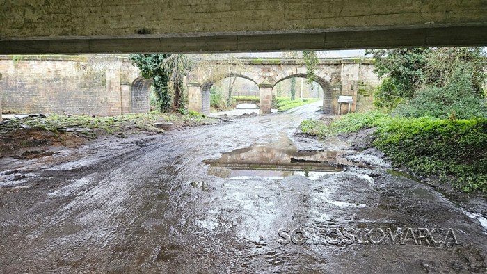 somoscomarca_20260127_VILAMARTIN_leira_rodeleira2593