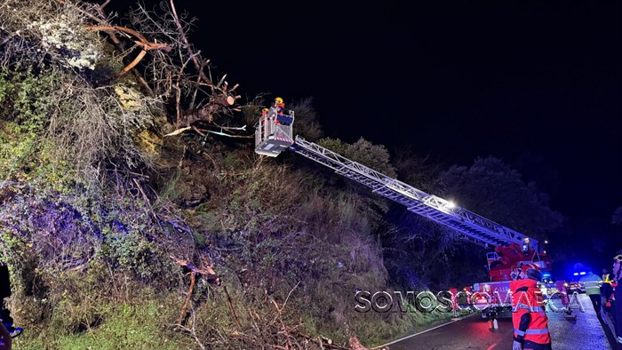 somoscomarca_20260129_obarco_viento_arbol_pino_santigoso2624