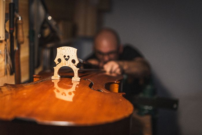 somoscomaca_casaio_ecodosteixos_violonchelo3113