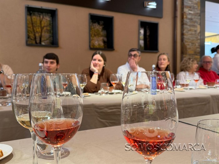 somoscomarca_202600302_vilamartin_calzada_cata_rutadelvino3106