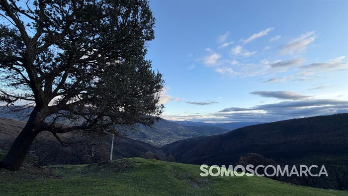 somoscomarca_quiroga_mostradoaceite74