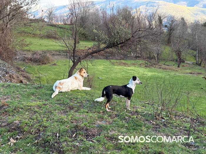 somoscomarca_quiroga_mostradoaceite75