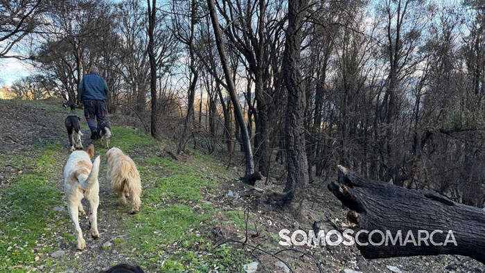 somoscomarca_quiroga_mostradoaceite77