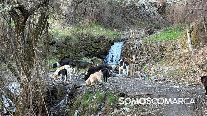 somoscomarca_quiroga_mostradoaceite78