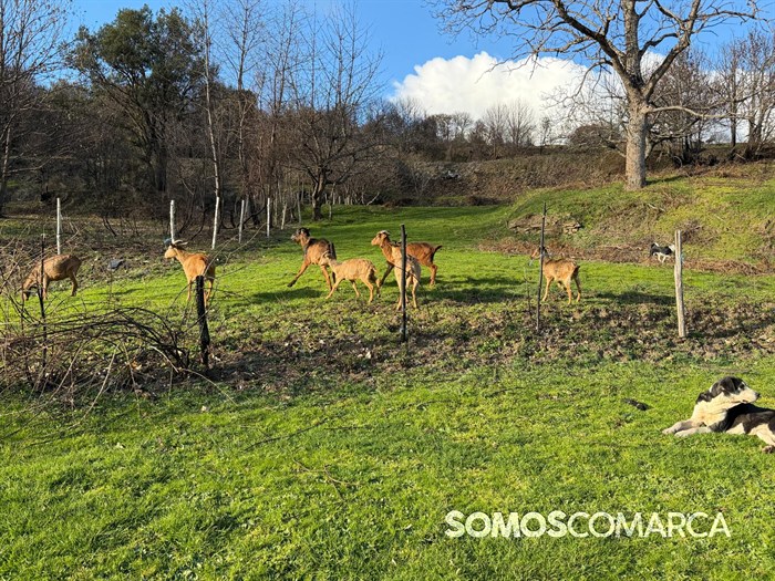 somoscomarca_quiroga_mostradoaceite85