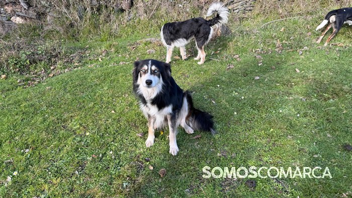 somoscomarca_quiroga_mostradoaceite87