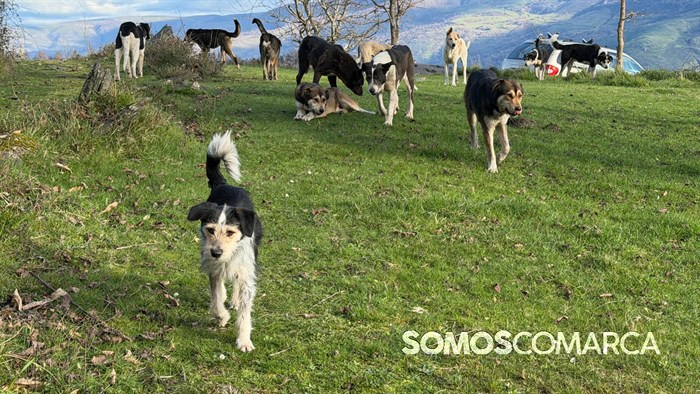 somoscomarca_quiroga_mostradoaceite88