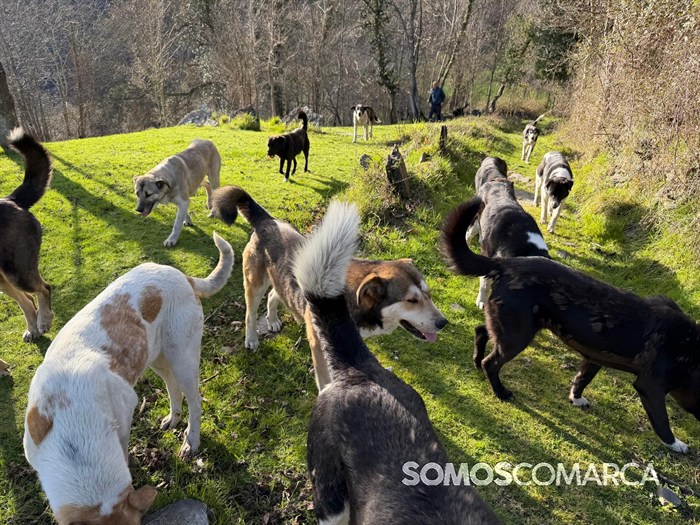 somoscomarca_quiroga_mostradoaceite89