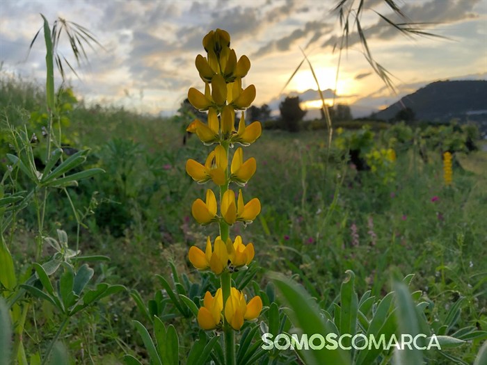 somoscomarca_primavera_orto_ocaso_cielosrojos143