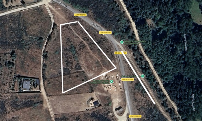 somoscomarca_elrosal_plantararboles (3)