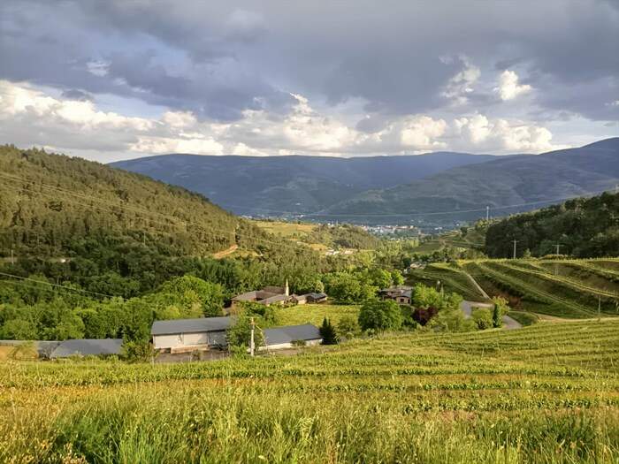 somoscomarca_obarco_andaina_clubpeñatrevinca_312