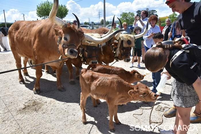 somoscomarca_20260425_larouco_festadocordeiro (6)