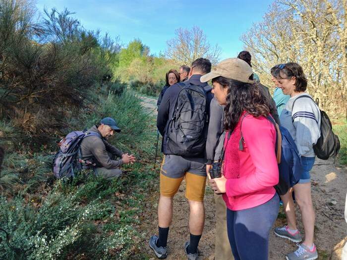 somoscomarca_terradetrevinca_aveiga_lagoas_rutasquerexeneran (3)