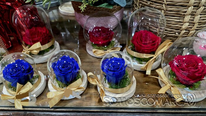 somoscomarca_20260430_obarco_pelopicoplanta_deiadelamadre (1)