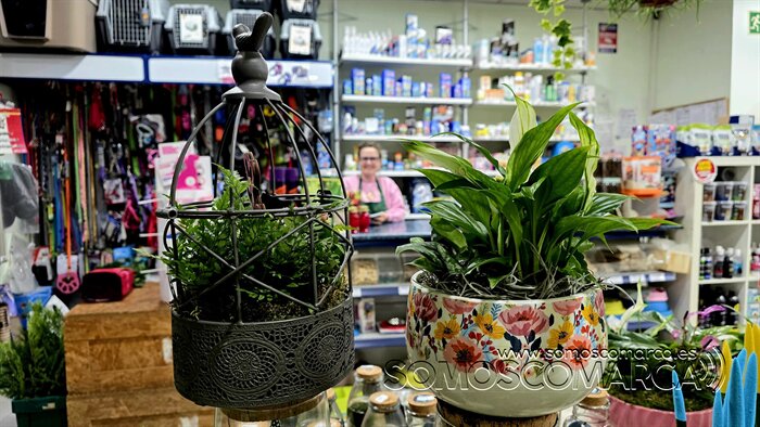 somoscomarca_20260430_obarco_pelopicoplanta_deiadelamadre (5)