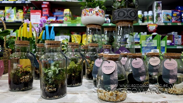 somoscomarca_20260430_obarco_pelopicoplanta_deiadelamadre (6)