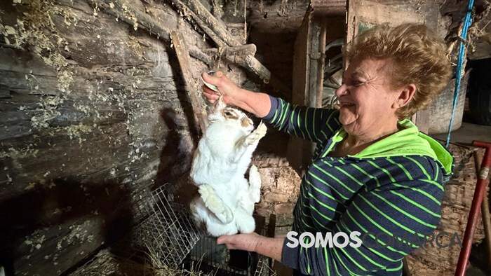 somoscomarca_fervenza_animales_puebloapueblo520
