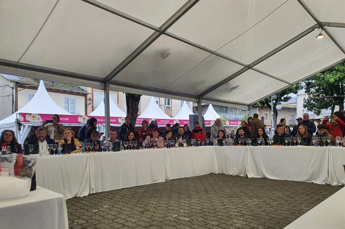 somoscomarca_feriadelvinodecacabelos (2)