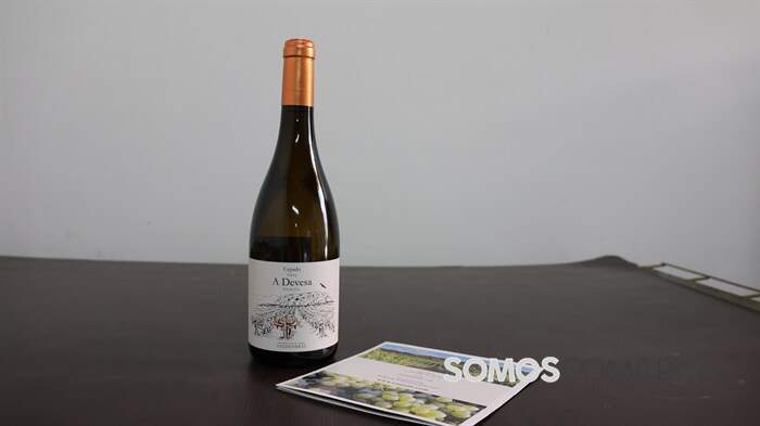 somoscomarca_ocepado_dieg_bodega_copa  (1)