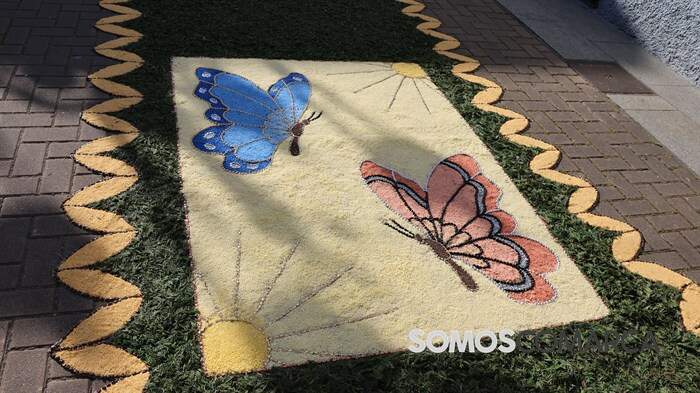 somoscomarca_arua_alfombrase corpus (14)