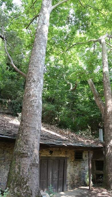 somoscomarca_arua_pinguelas_regueirodaruaJPG (9)