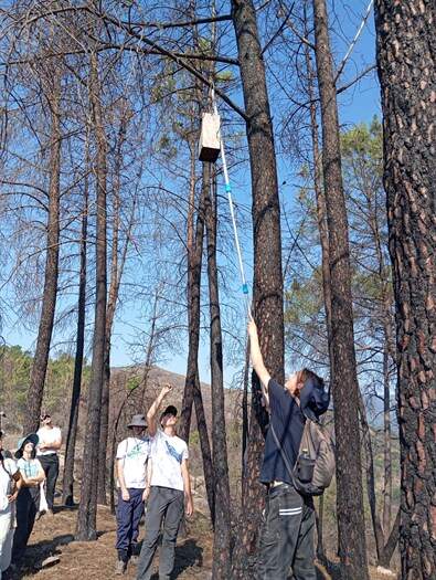 somoscomarca_20260712_larouco_castrillon_campamento_voluntariado3932