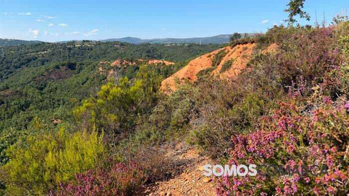 somoscomarca_viana_caldesiños_borreas_minaromana2782