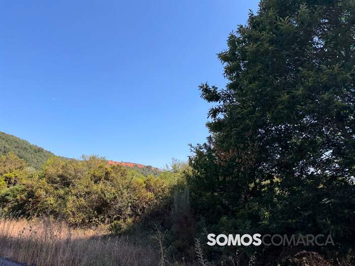 somoscomarca_viana_caldesiños_borreas_minaromana2790