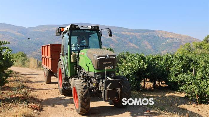 somoscomarca_obolo_voluntariado_3286