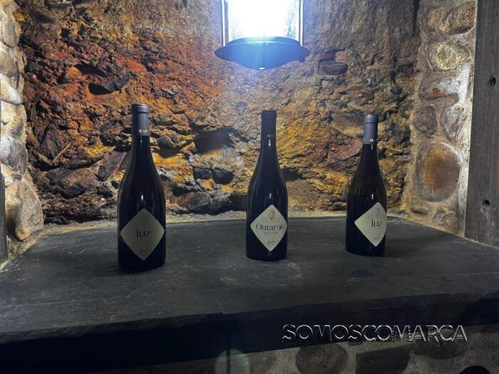 somoscomarca_20260825_obarco_vilanova_bodegablare4264