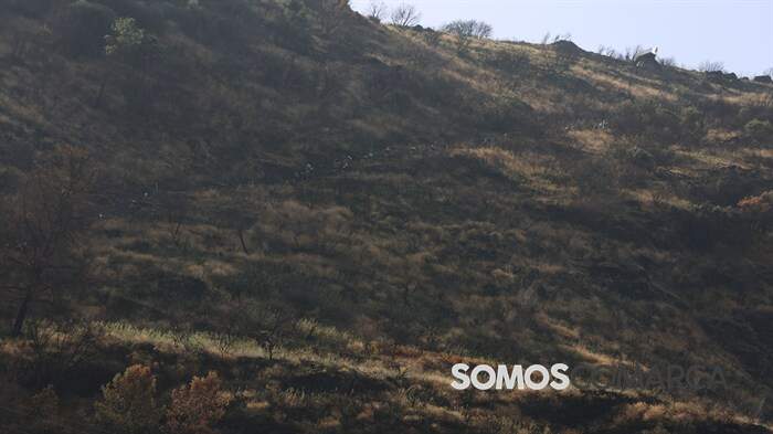 somoscomarca_vilamartin_sacauntos_kilometrovertical_parra4064