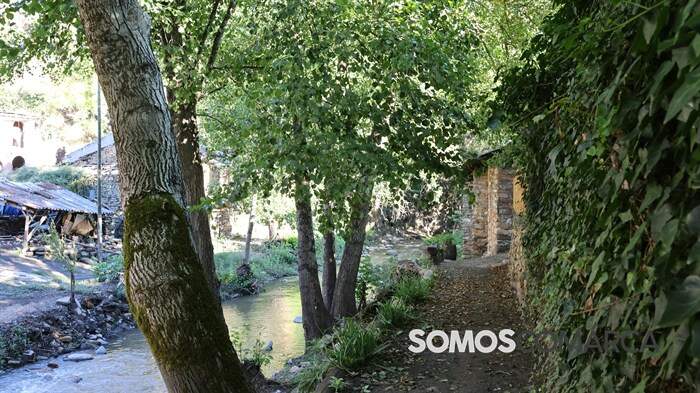 somoscomarca_omazo4549