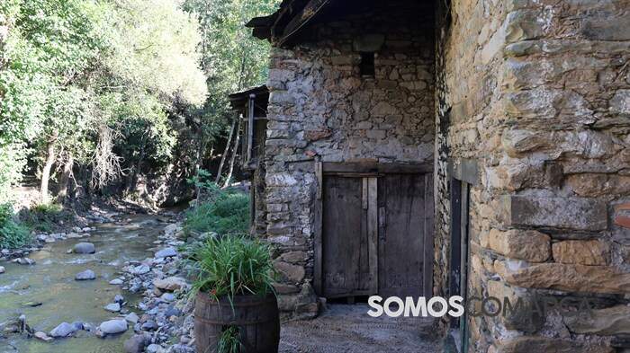 somoscomarca_omazo4553