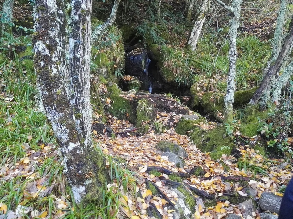 somoscomarca_teixadal-20