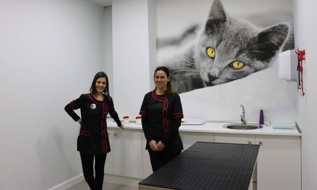 Bichos, la nueva clínica veterinaria de O Barco Bichos, la nueva clínica veterinaria de O Barco